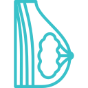 Маммология