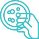 Инфекционист