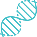 Функциональная диагностика