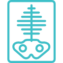 Рентгенография